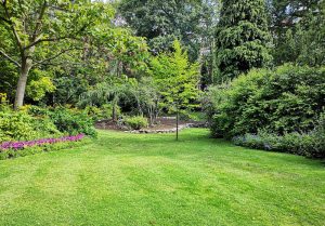 Optimiser l'expérience du jardin à Roche-Charles-la-Mayrand