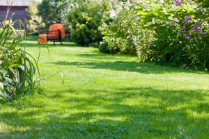 travaux jardin et paysage Roche-Charles-la-Mayrand